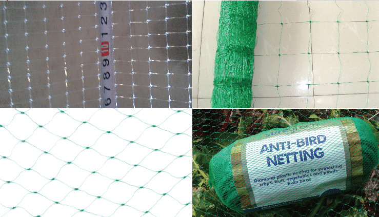 PP Anti-bird Mesh/Climbing Mesh Machine